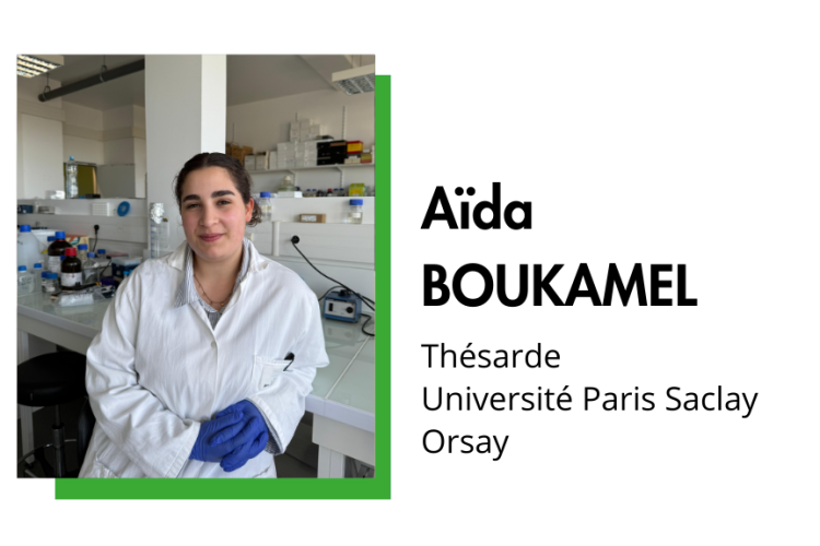 Aida