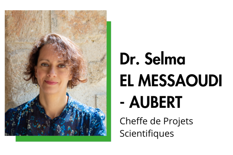 SELMA EL MESSAOUDI - AUBERT